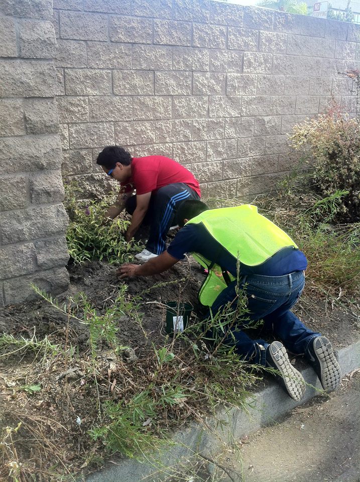 10257381_683435698397030_6299288407193287266_n