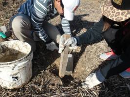 1462871_567325656674702_988649689_n