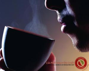 481697_442698559112533_661331323_n