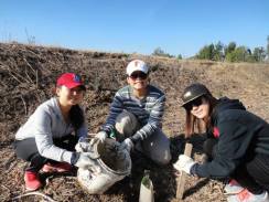 1453537_567325643341370_938663932_n