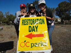 1456627_567325793341355_1568786938_n