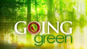 261266_494046023977786_887257113_n