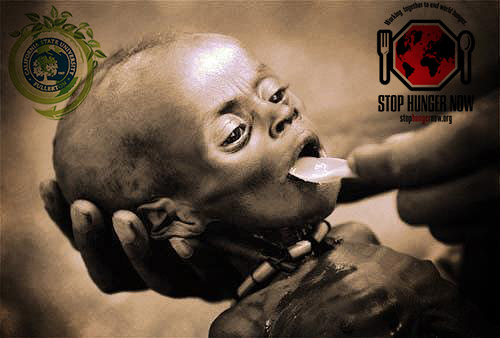 283014_383706265036643_210418485_n