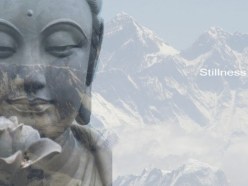 48198af61303ebuddhastillness