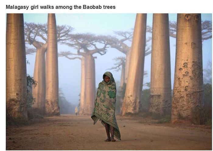 stunning_photographs_23